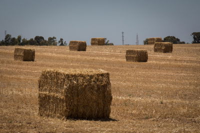 התחזית: מזג אוויר שרבי ברוב אזורי הארץ