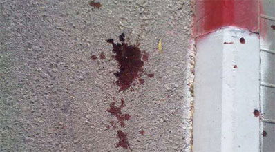 אילוסטרציה