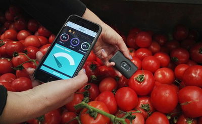 לא יודעים לבחור ירקות? האפליקציה תעזור