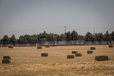 התחזית: נעים; הטמפרטורות: רגילות לעונה