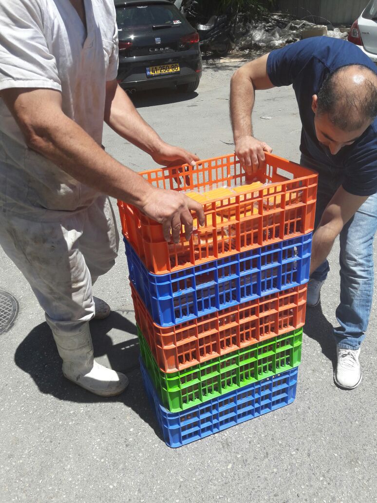 חשש לבשר טרף: הושמדו כ-10 טונות של עופות