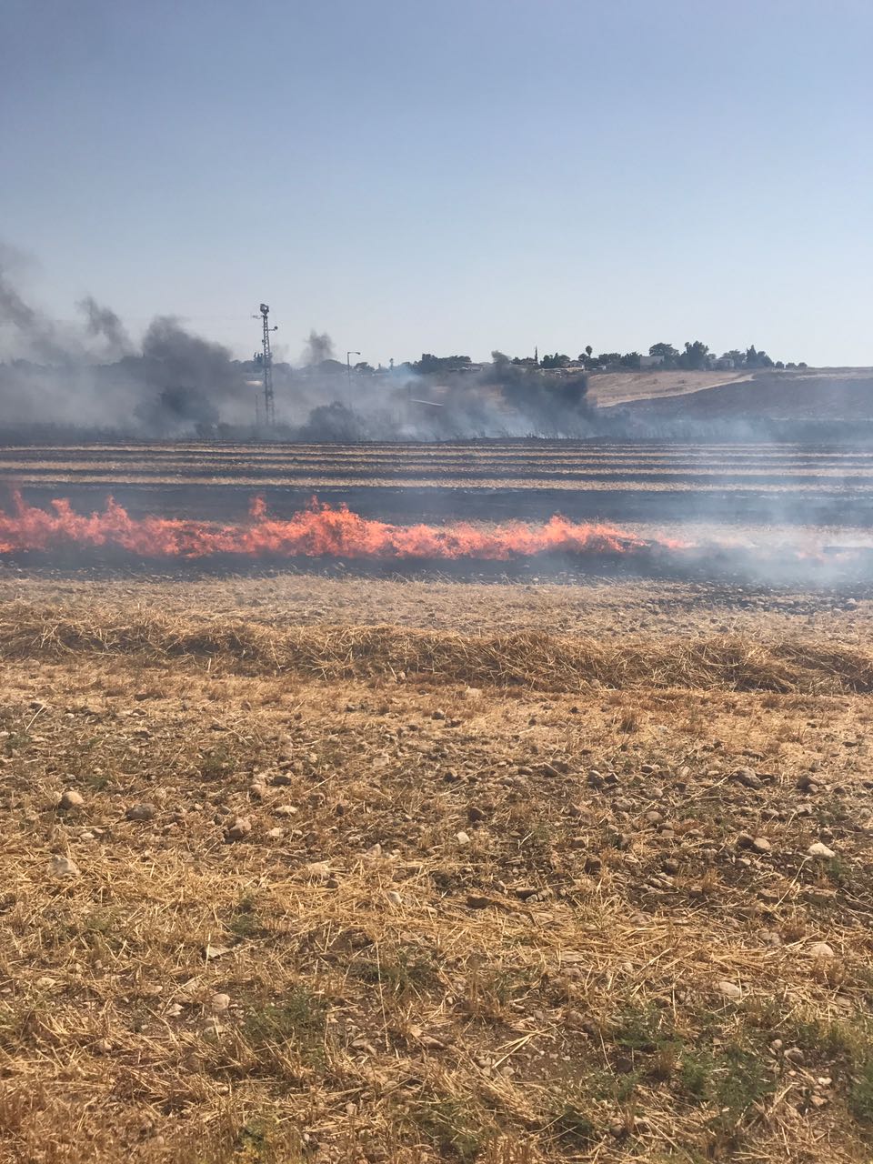 שריפת קוצים ליד כביש 1: תושבי משמר איילון פונו מבתיהם
