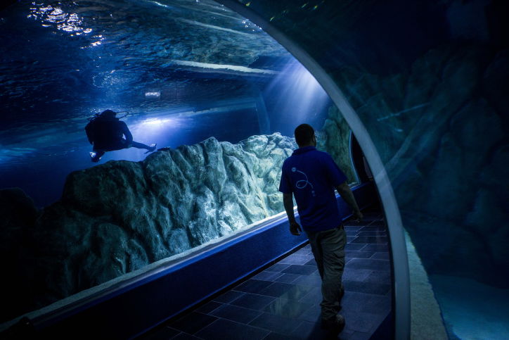 האקווריום הירושלמי הענק נפתח • תמונות