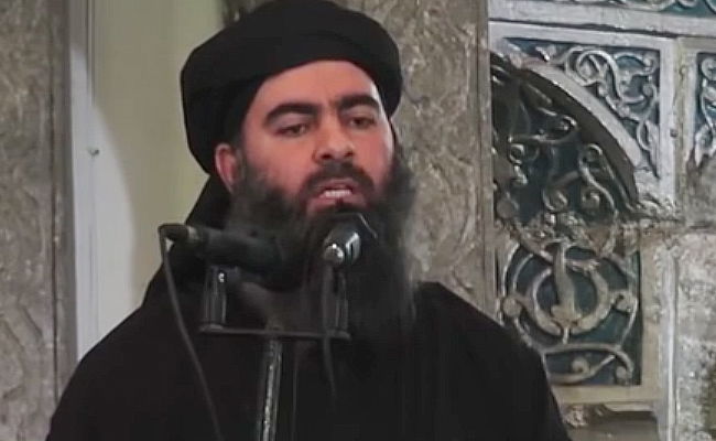 אבו בכר אל בגדדי