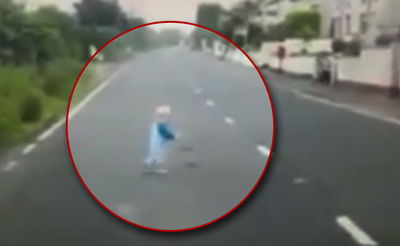 הנהגים נדהמו: הפעוט שוטט לו בנחת על הכביש הראשי. צפו