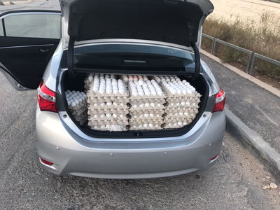 חלק מהביצים המוברחות