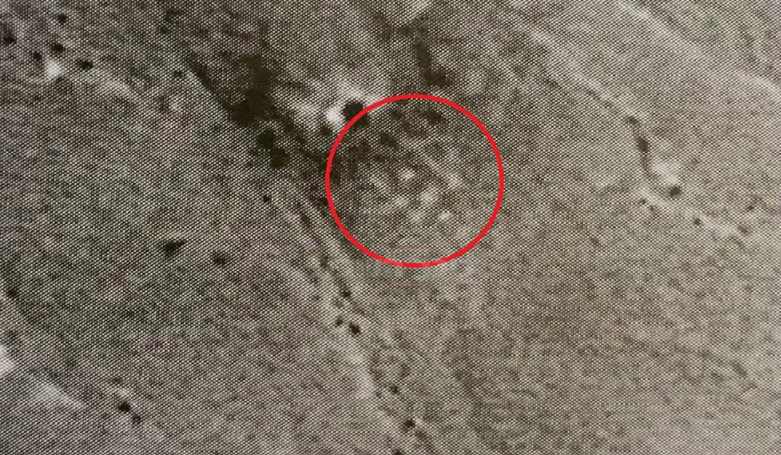 התצלום שחשפה ישראל