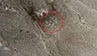 התצלום שחשפה ישראל