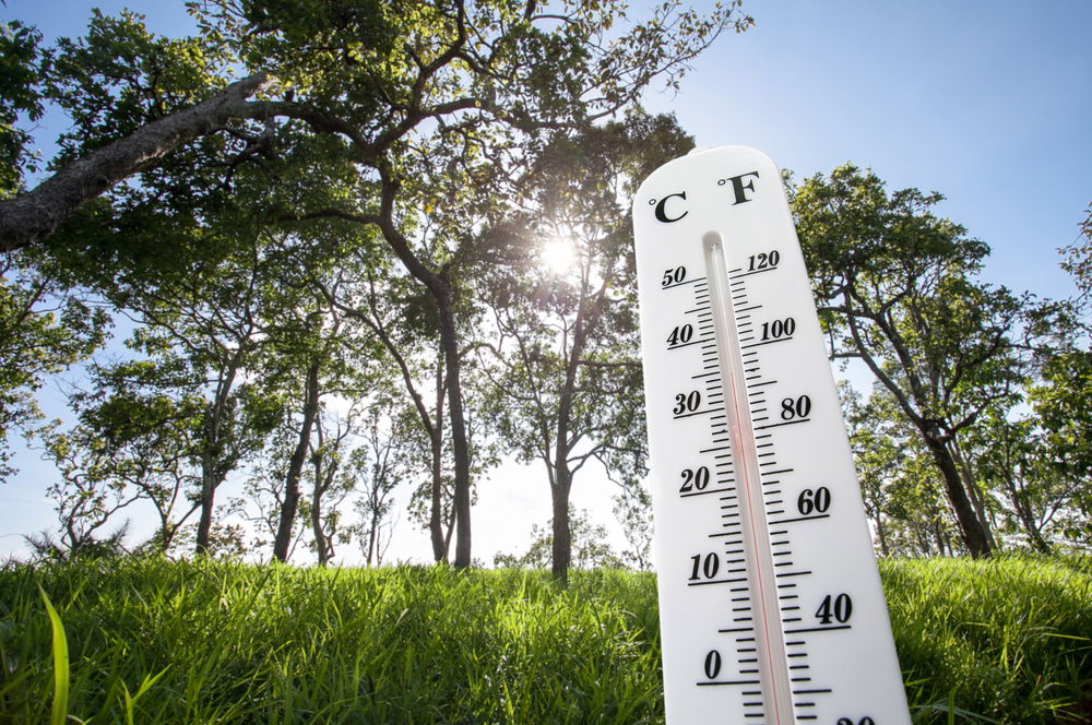 התחזית: גל חום כבד עד קיצוני ברוב הארץ