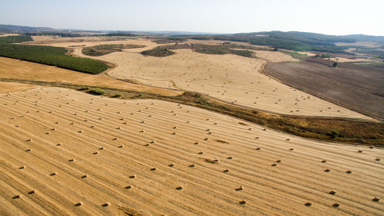 סיור מצולם:  לטרון, גשרי הרכבת  ומיני ישראל
