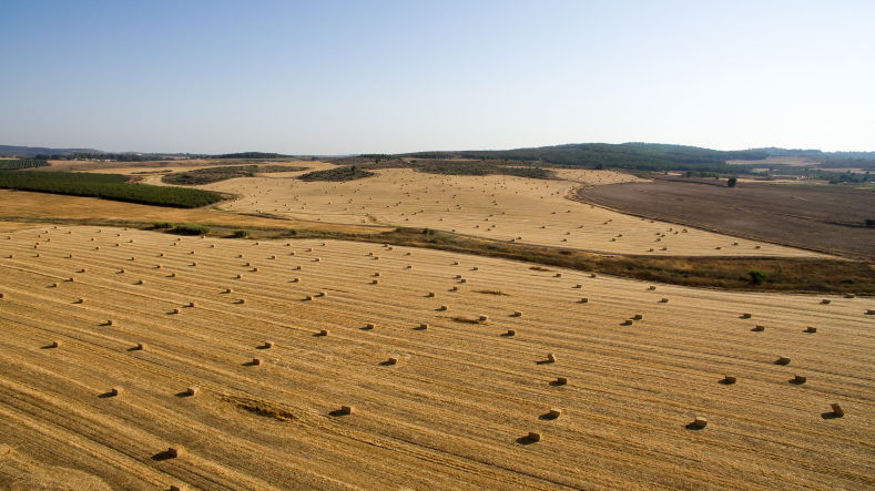 סיור מצולם:  לטרון, גשרי הרכבת  ומיני ישראל