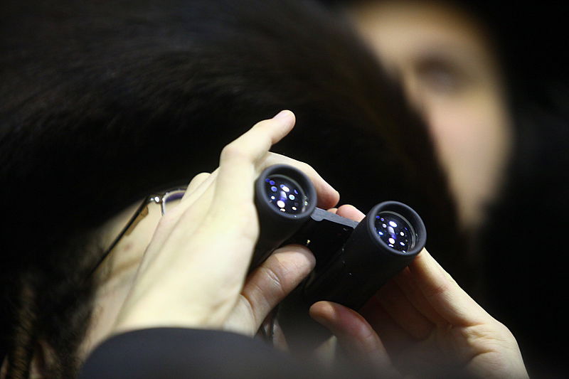 משקיף על גדולי ישראל. אילוסטרציה