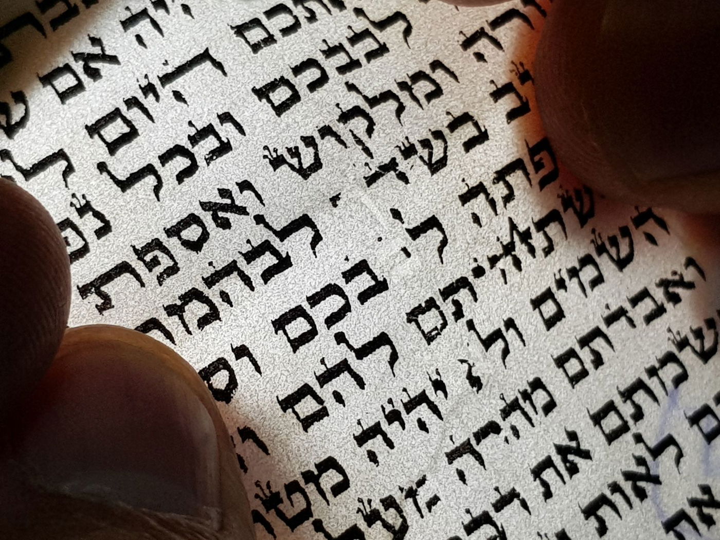 עשרות מזוזות התגלו כמודפסות על קלף. צפו