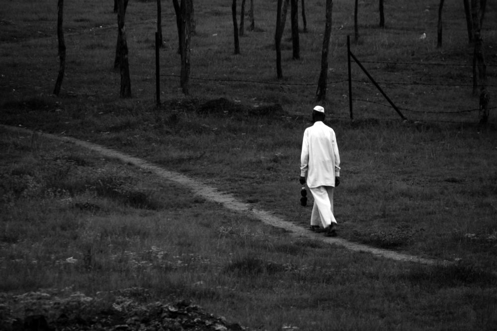 אני רק בן אדם,  וקשה לי! / פרשת בלק