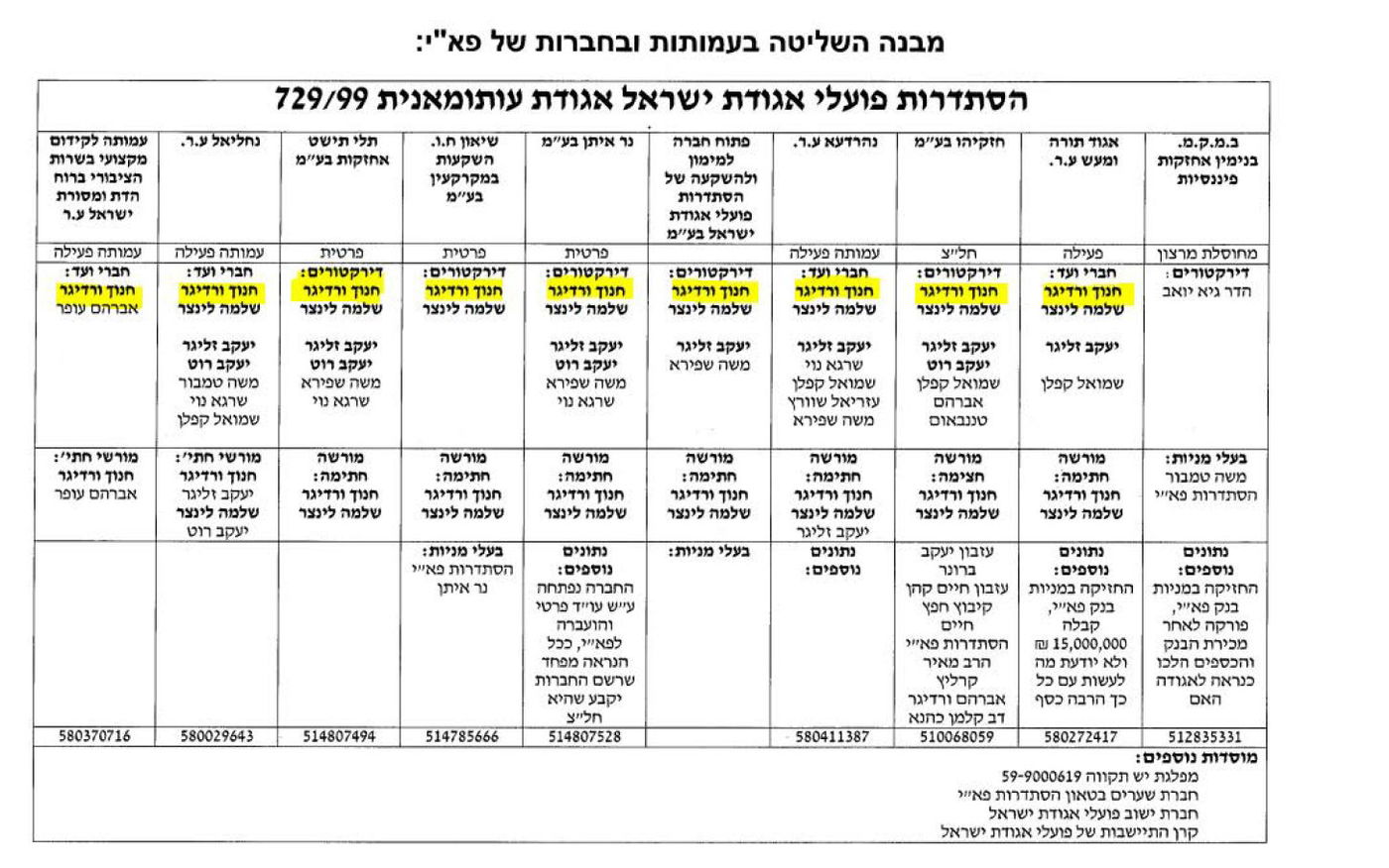 מבנה השליטה בפא"י