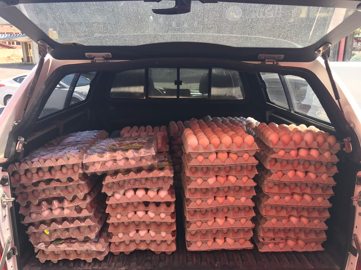 הוחרמו למעלה מ-5000 ביצים לא מאושרות