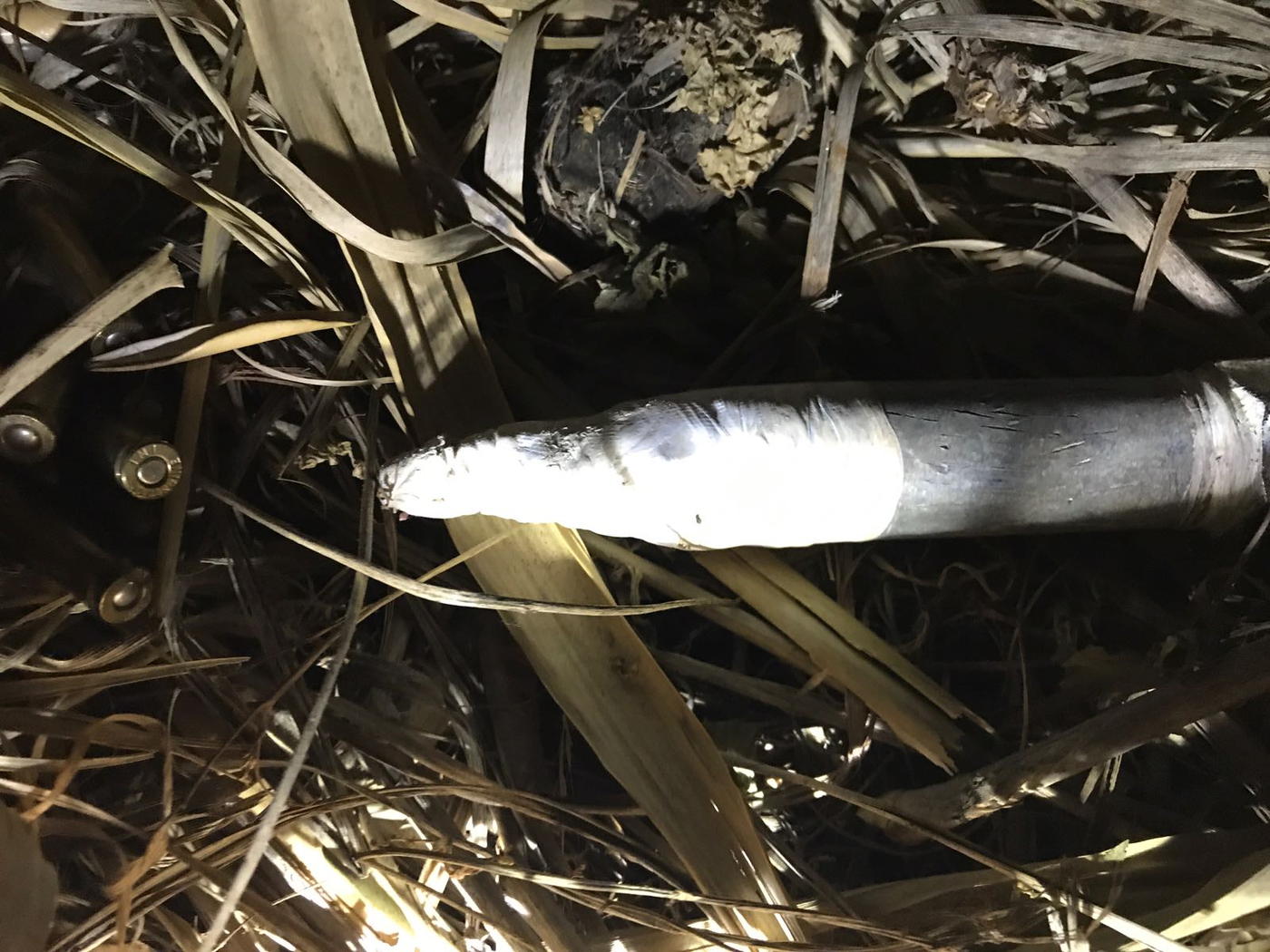 השלל המשטרתי: עשרות רובים, אקדחים, טיל לאו ו.... פגזים