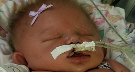 מריאנה ריס שיפריט