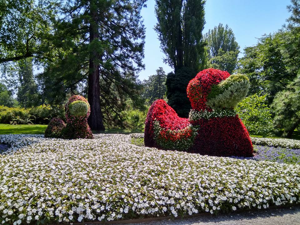 אי הפרחים - גלריה אירופאית מרהיבה במיוחד