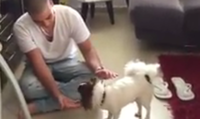 עם הכלב וילי