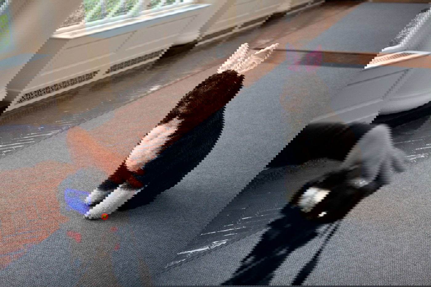 הכלב של אובמה מצטלם, הבית הלבן