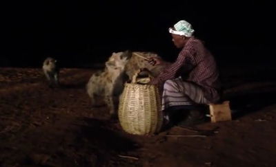 הכירו את האתיופים שמאכילים חיות טורפות