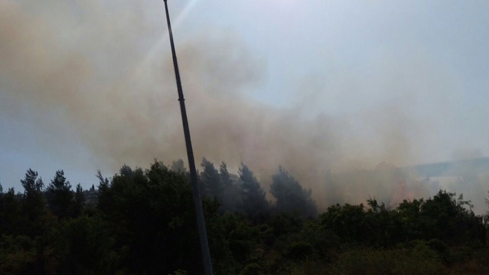 שריפת היער התפשטה; נבדק חשד להצתה