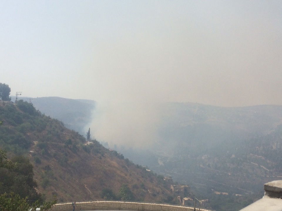 שריפת היער התפשטה; נבדק חשד להצתה