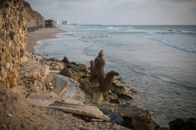 חוף הים בהרצליה, אתמול