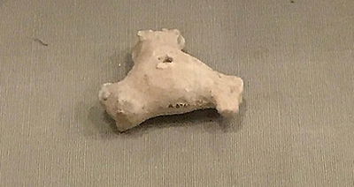 הספינר העתיק?