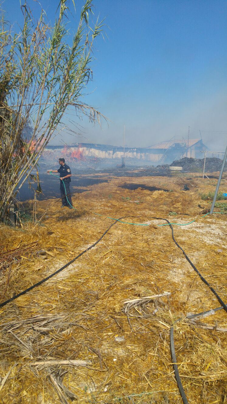 שריפה פרצה במושב קוממיות; מחסן מצות נשרף