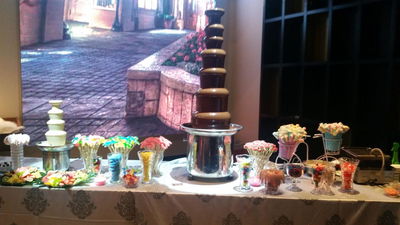 מפלי שוקולד - גולת הכותרת של בר המתוקים.