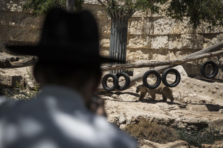 אילוסטרציה