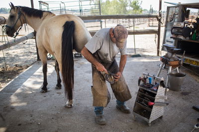 נעלי הסוסים • צפו בתהליך התקנת הפרסה