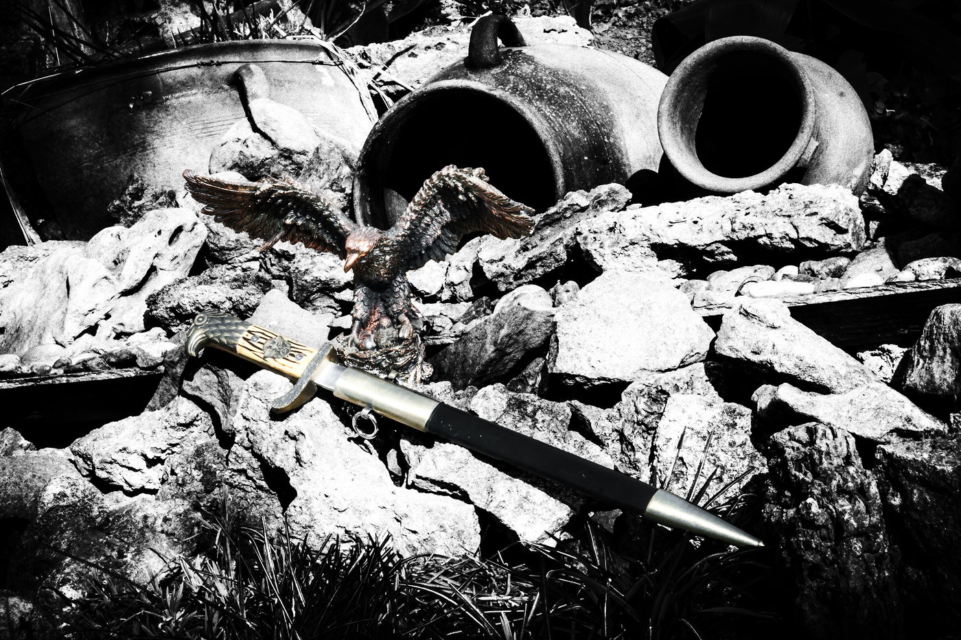 סמל נשר נאצי, אילוסטרציה