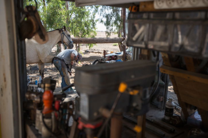 נעלי הסוסים • צפו בתהליך התקנת הפרסה