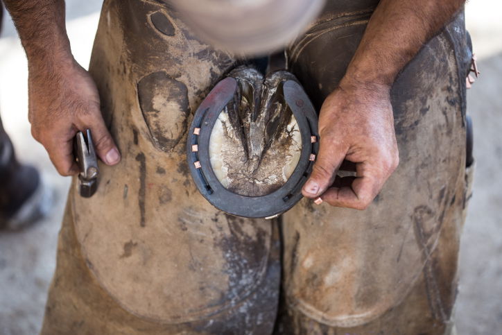 נעלי הסוסים • צפו בתהליך התקנת הפרסה