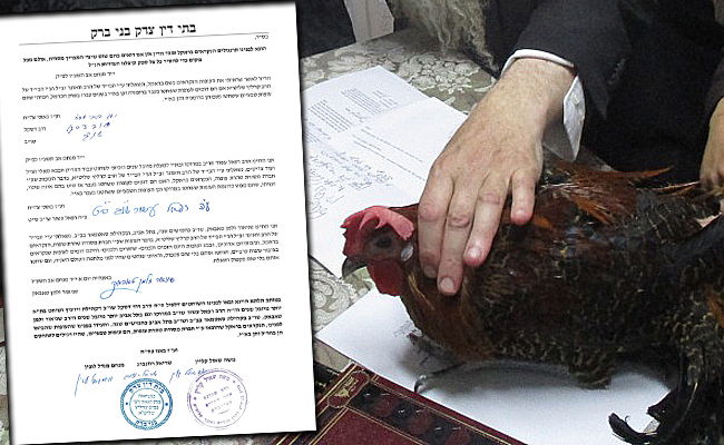 עוף הבראקל ומכתב הדיינים