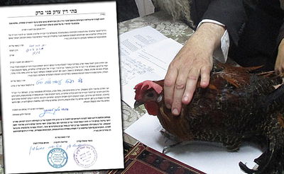 עוף הבראקל ומכתב הדיינים