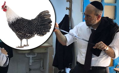 הרב חיים ועוף הבראקל