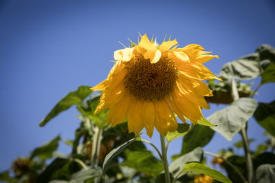 התחזית: עלייה קלה בטמפרטורות, חם מהרגיל