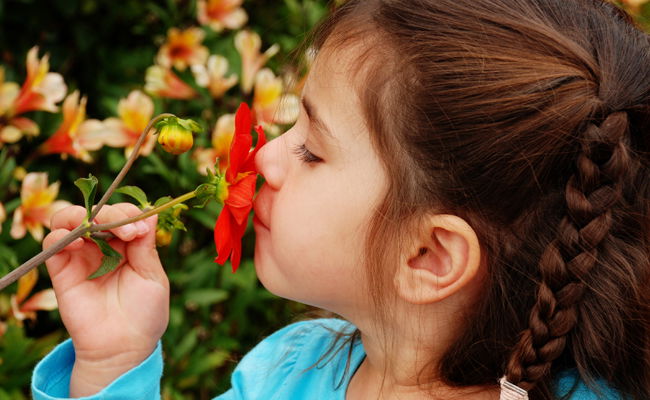 אילוסטרציה