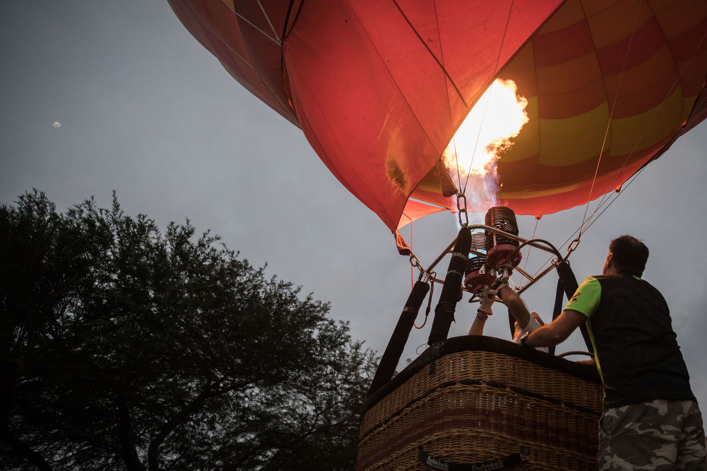 גלריה מרהיבה: פסטיבל כדורים פורחים בנגב