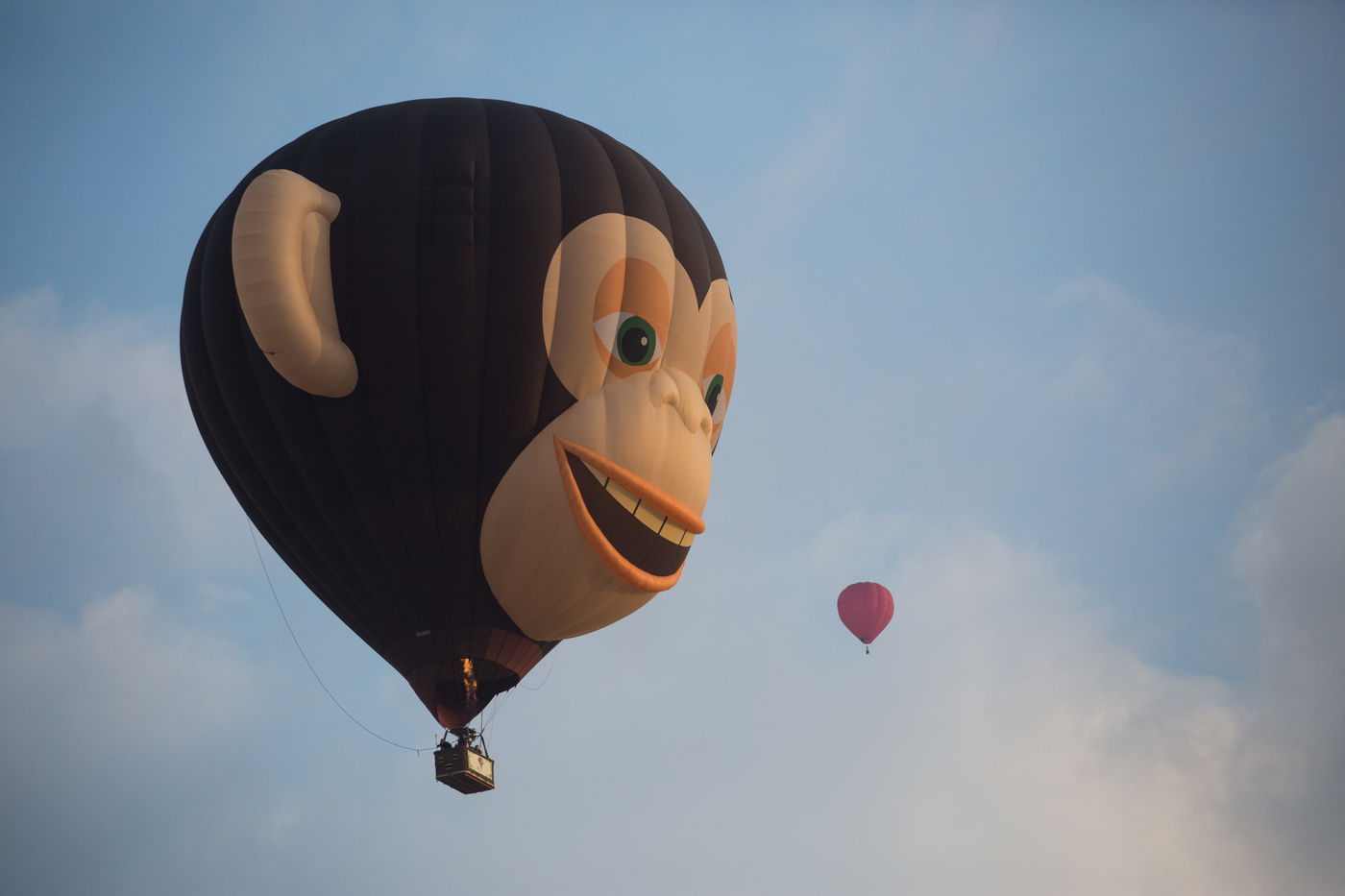 גלריה מרהיבה: פסטיבל כדורים פורחים בנגב