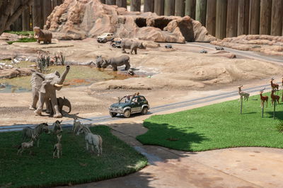 מיני ישראל.