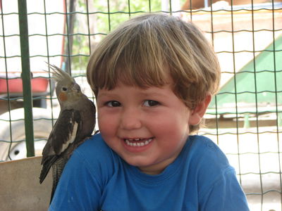 יום לכל המשפחה בחווה של חוה.