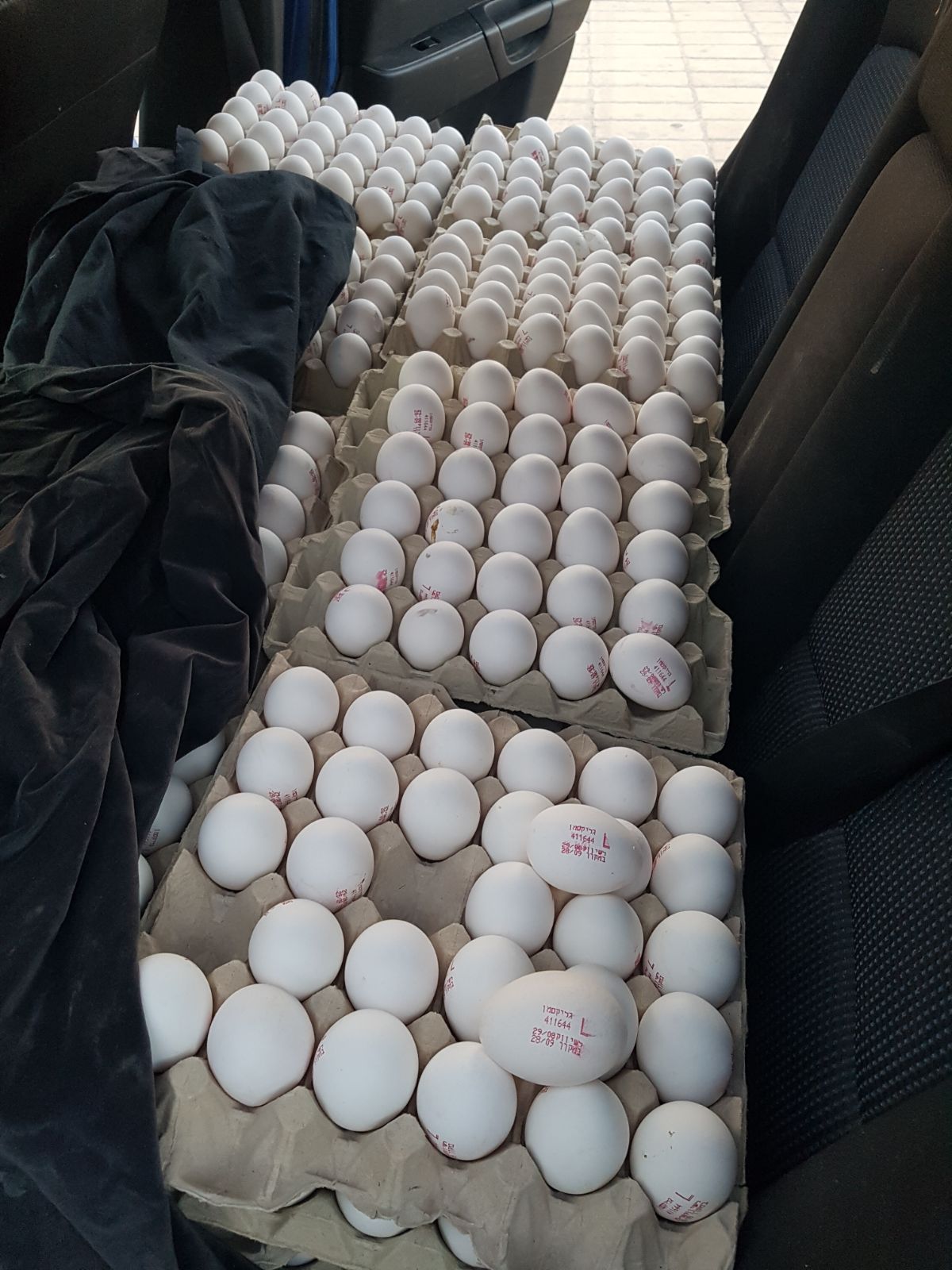 הביצים המוברחות