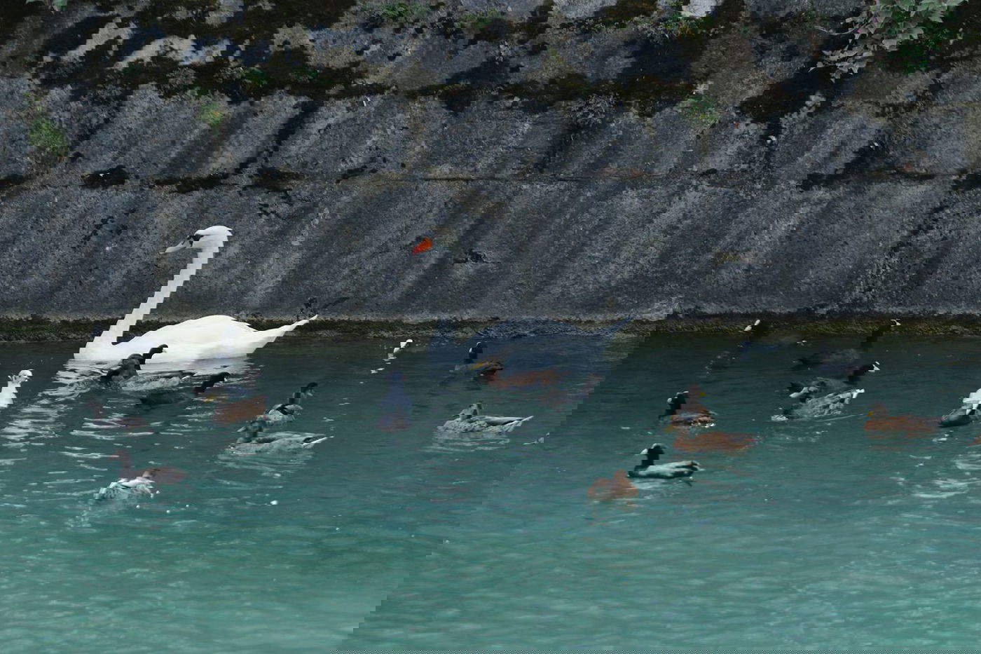 סיור בעיירה היפה אנסי דרך עדשת המצלמה