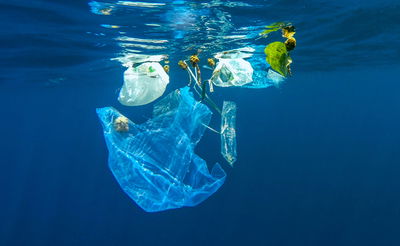 בשורה: פחות שקיות פלסטיק הושלכו בחופים