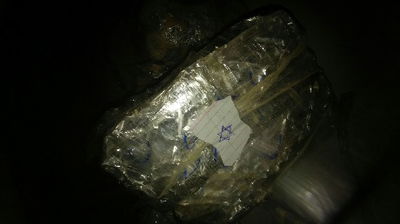 נתפסה הברחת סמים ענקית בשווי מיליונים